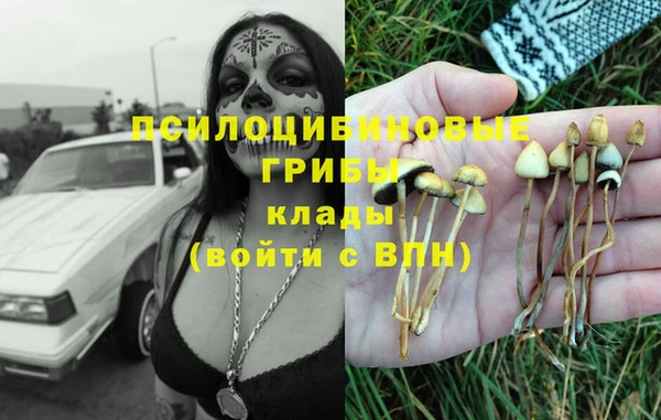 марки nbome Белокуриха
