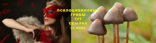 кокаин Беломорск
