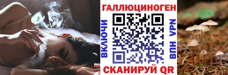 Купить  Буйнакск  Галлюциногенные грибы GOLDEN TEACHER 